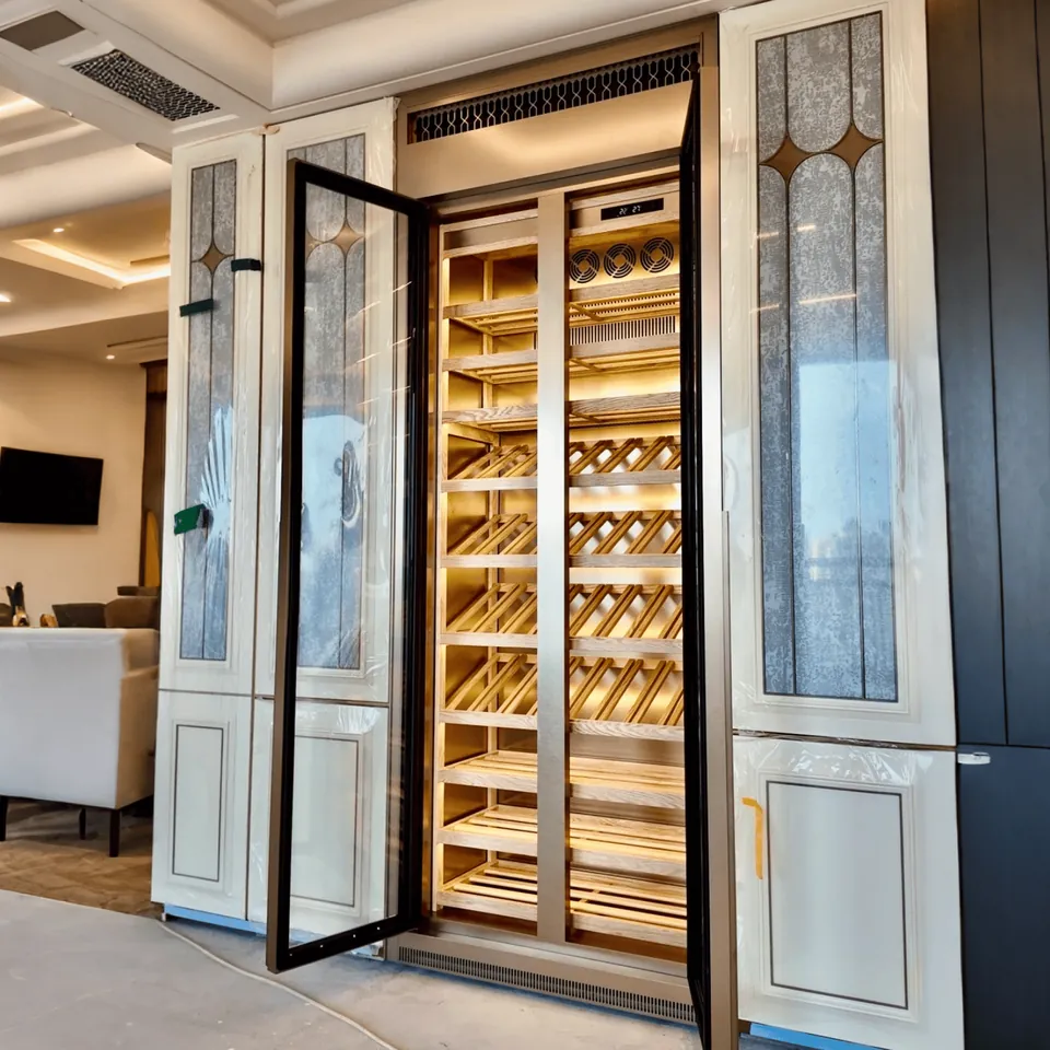 Electric USB Dual-Zone Stainless Steel Wine Cabinet, Compressor Cooling 3
