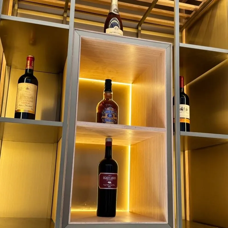 Stainless Steel Wine Cabinet 1000L Dual Zone, Glass Door 3